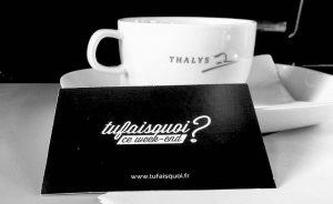 tufaisquoiceweekend-twofrenchexplorers