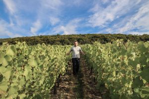 visiterlabourgogne