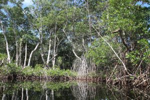 excursionrepubliquedominicaine