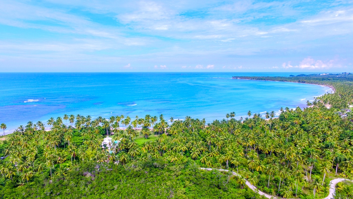 Envie de découvrir les paysages les plus verts de la République dominicaine  ? Rendez-vous à Samaná