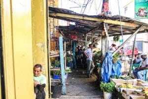 quevoiràsaintdomingue