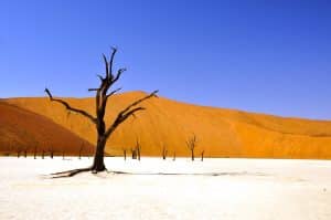 voyagesen2017-blogvoyage